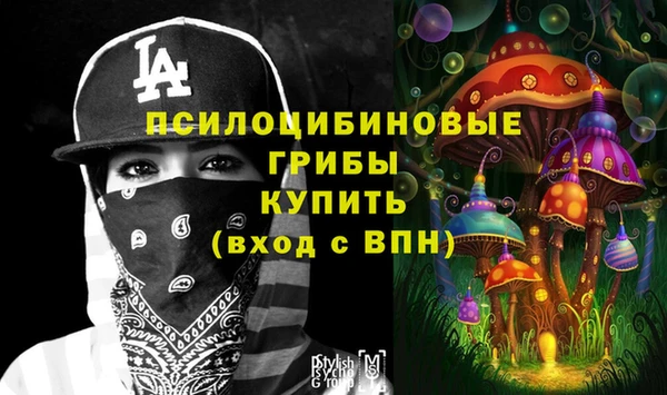 первитин Балахна