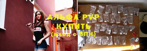 ГАЛЛЮЦИНОГЕННЫЕ ГРИБЫ Баксан